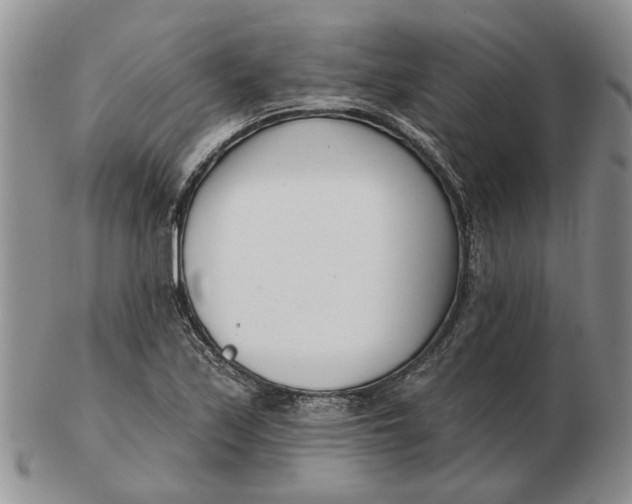 X0000102791171200809081043