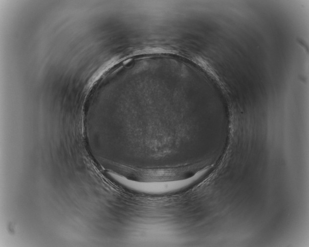 X0000102791173200809081043