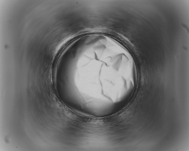 X0000102791174200809081043