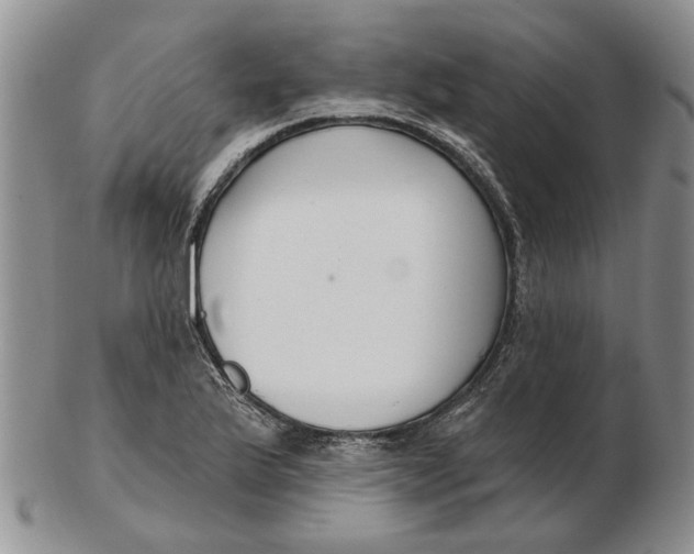 X0000102791175200809081043