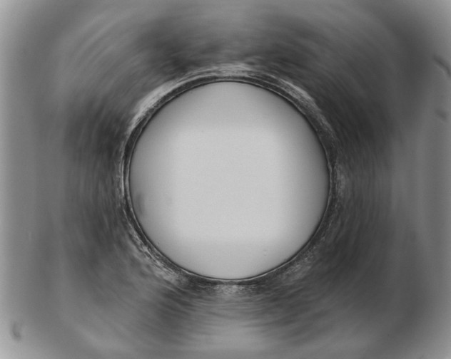 X0000102791176200809081043