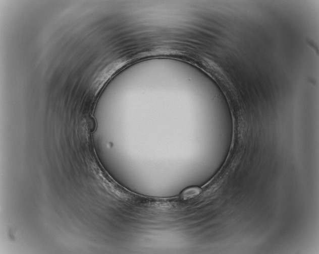 X0000102791177200809081043