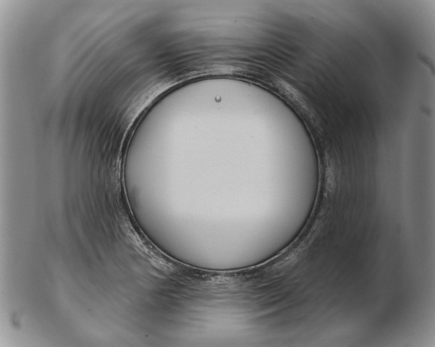 X0000102791178200809081043