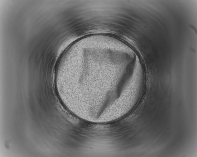 X0000102791179200809081043