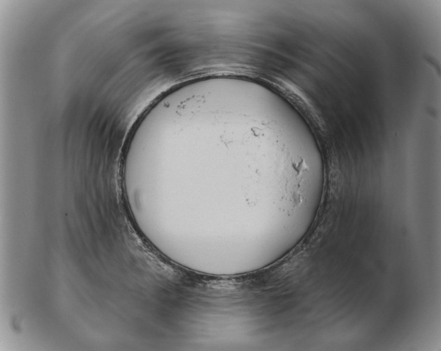 X0000102791182200809081043