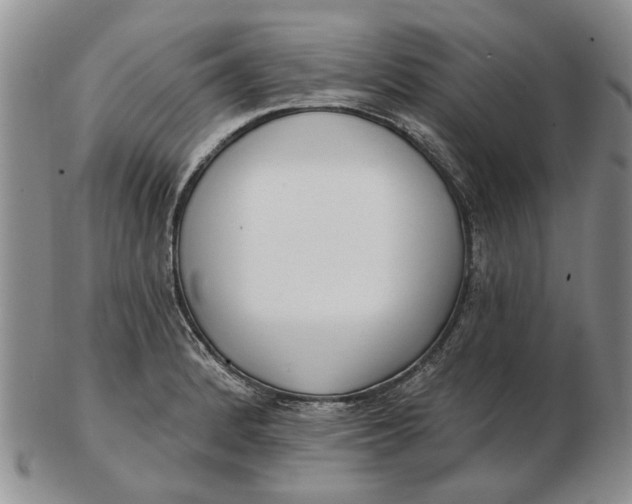 X0000102791184200809081043