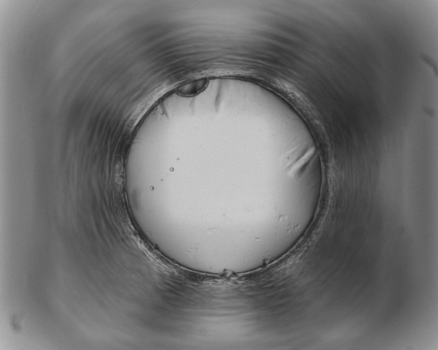 X0000102791185200809081043