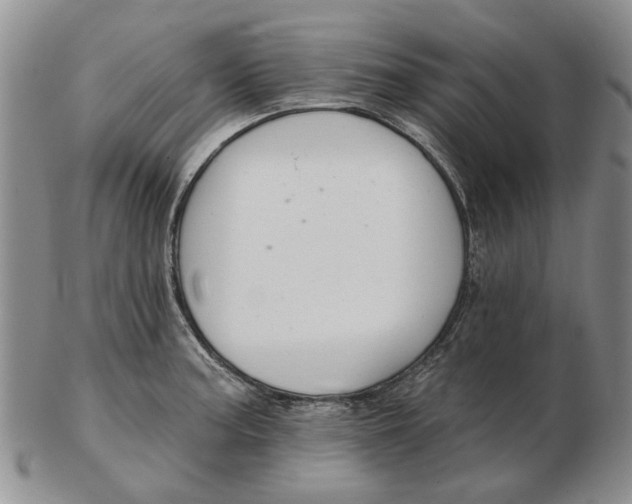 X0000102791187200809081043