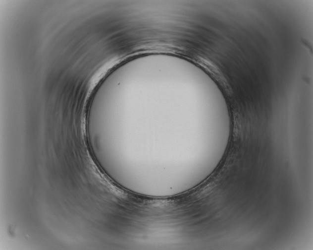 X0000102791188200809081043