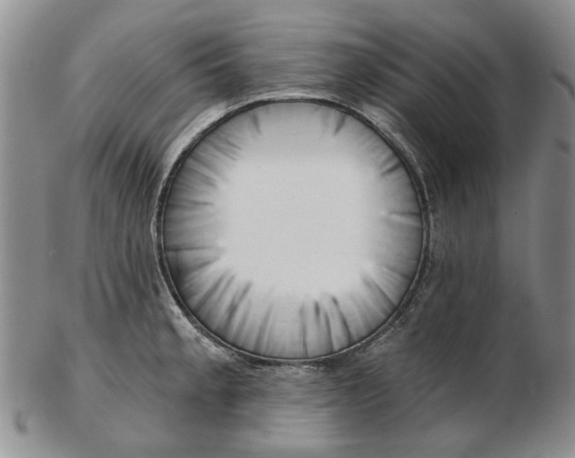 X0000102791189200809081043