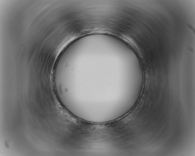 X0000102791190200809081043