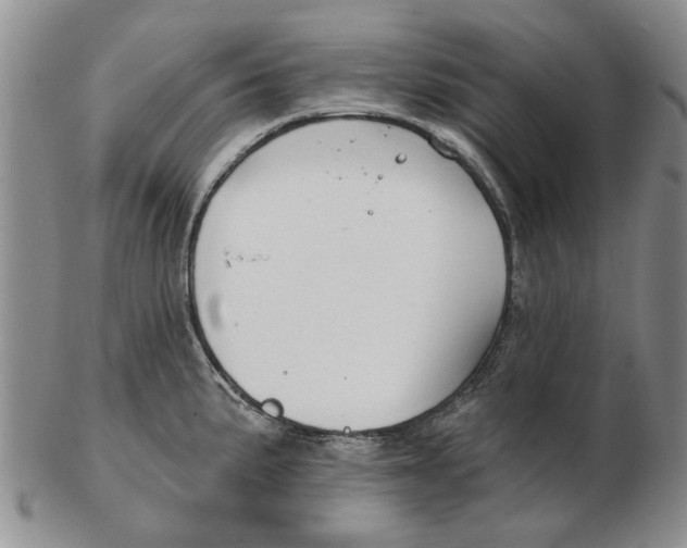 X0000102791191200809081043