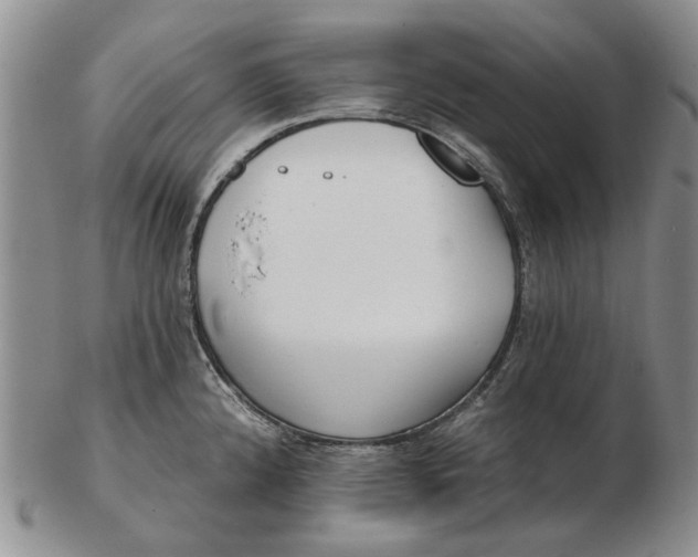 X0000102791192200809081043