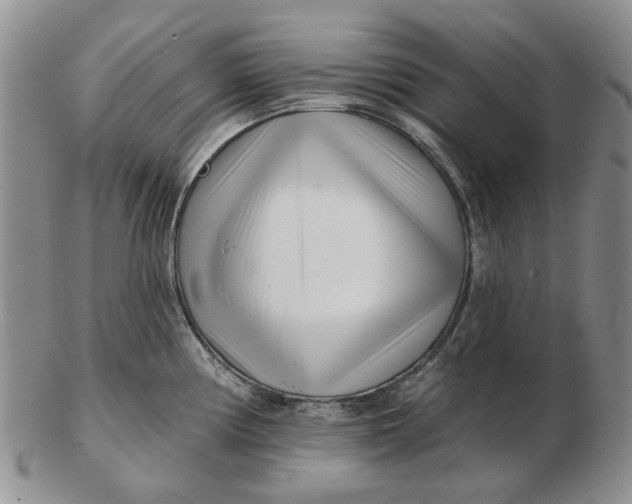 X0000102791194200809081043