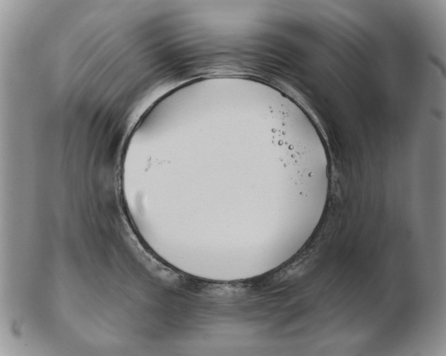 X0000102791195200809081042