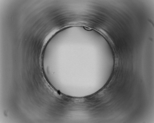 X0000102791196200809081042