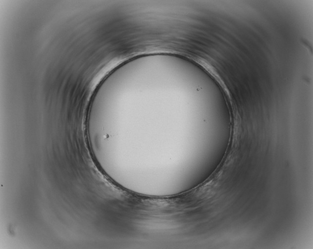 X0000102791197200809081042