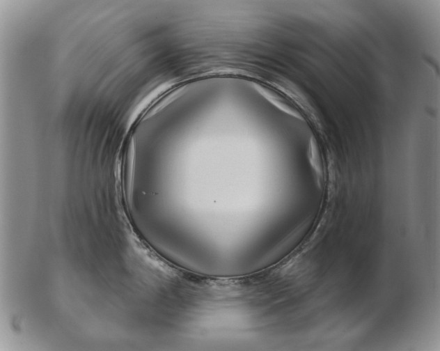 X0000102791198200809081042