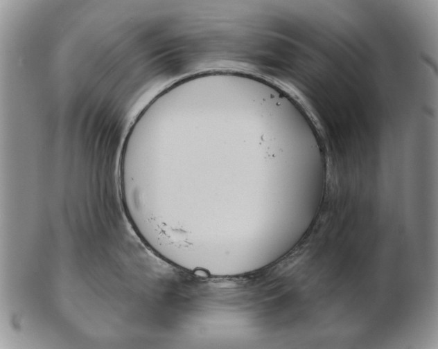 X0000102791199200809081042