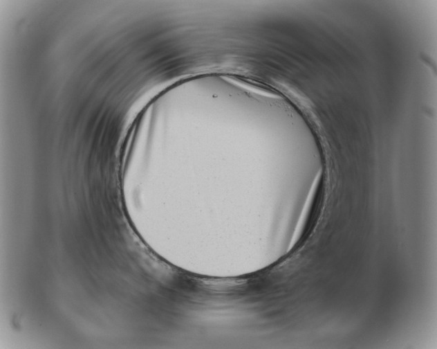 X0000102791200200809081042