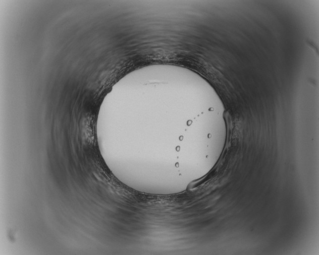 X0000102791202200809081042