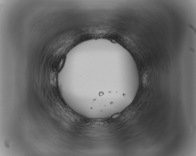 X0000102791204200809081042