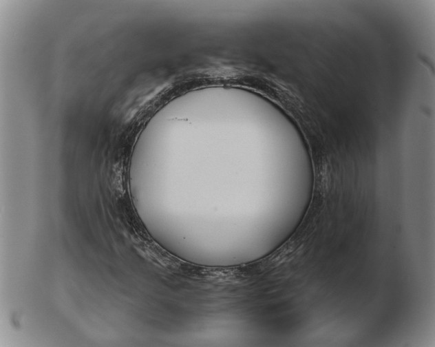 X0000102791205200809081042