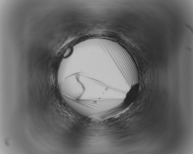 X0000102791206200809081042