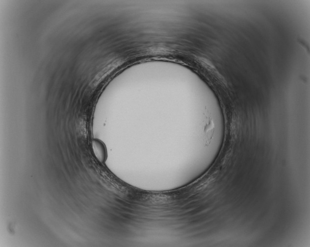 X0000102791209200809081042