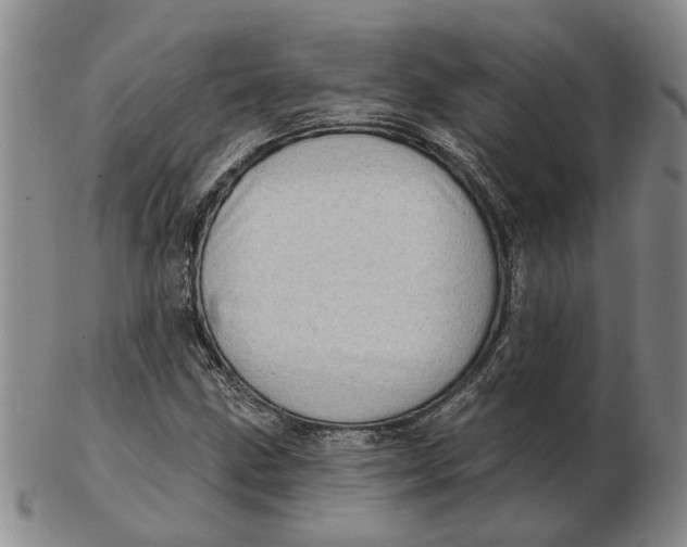 X0000102791211200809081042