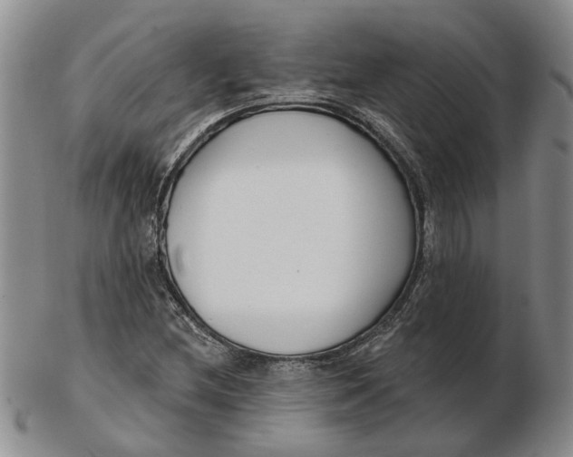 X0000102791212200809081042