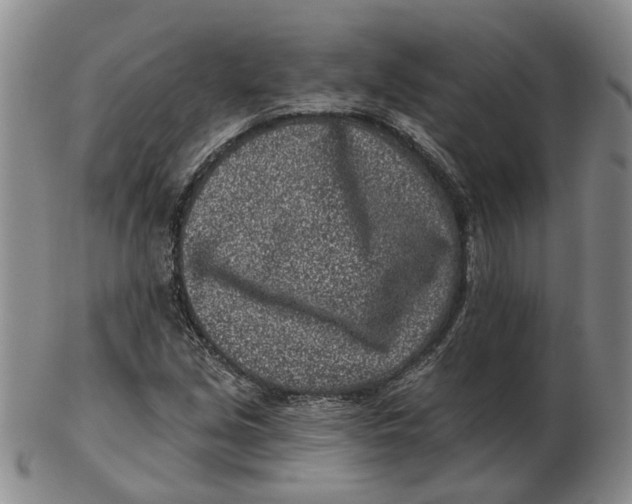 X0000102791213200809081042