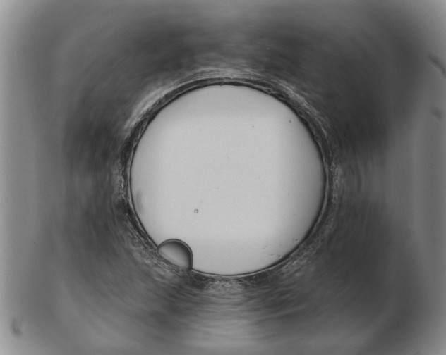 X0000102791215200809081042