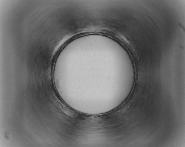 X0000102791216200809081042