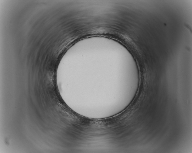 X0000102791217200809081042