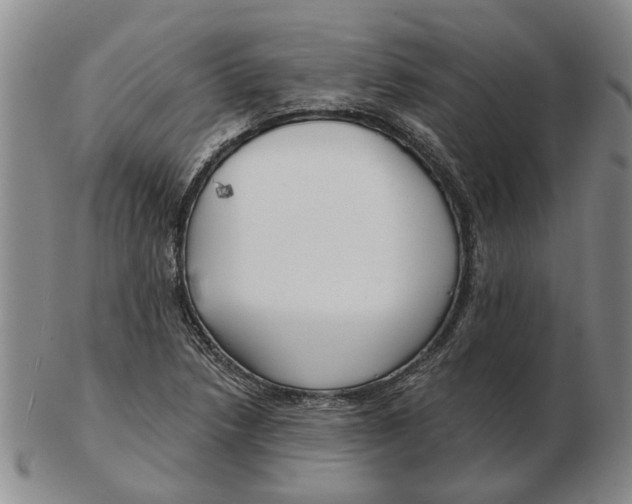 X0000102791218200809081042