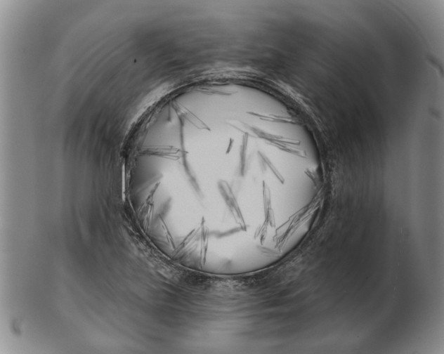 X0000102791219200809081042