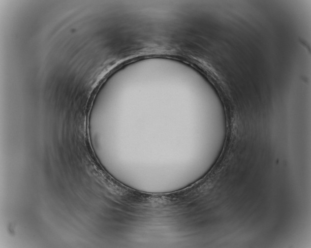 X0000102791220200809081042