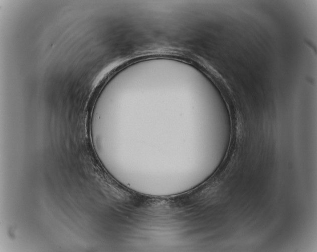 X0000102791222200809081042