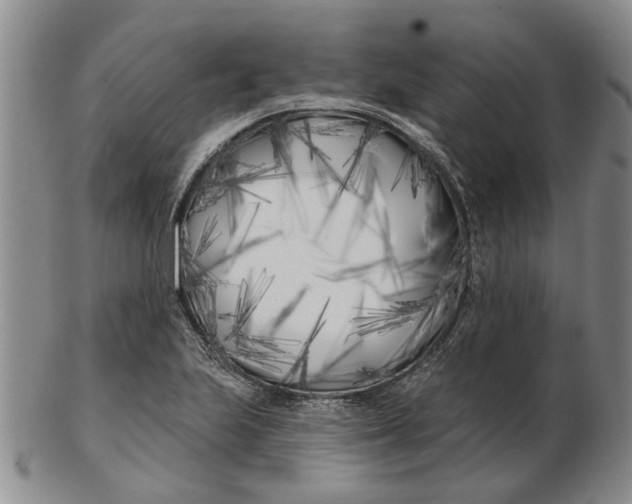 X0000102791223200809081042