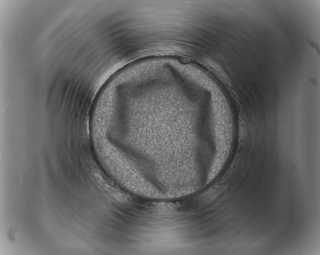 X0000102791226200809081042