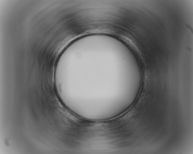 X0000102791228200809081042