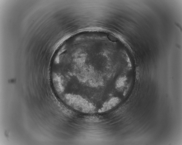 X0000102791229200809081042