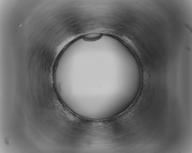 X0000102791230200809081042