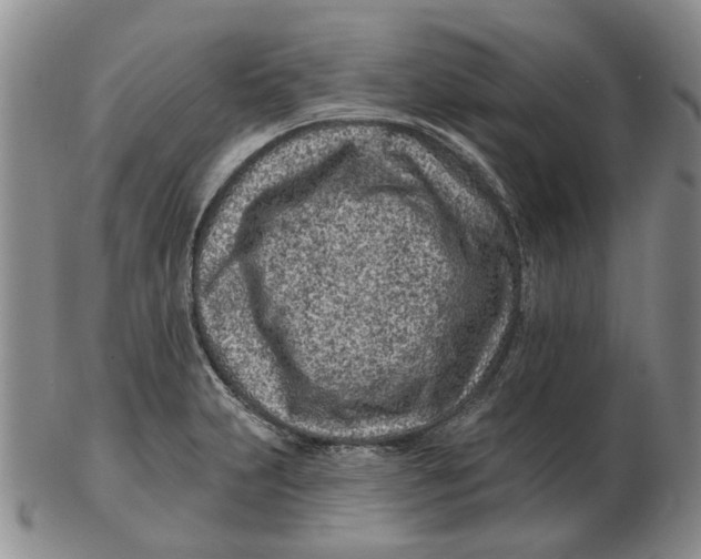 X0000102791231200809081042