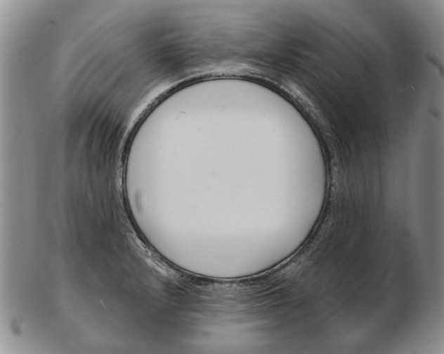 X0000102791232200809081042