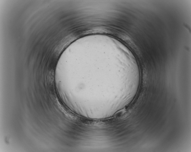 X0000102791233200809081042