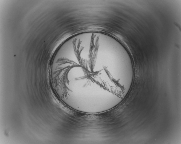 X0000102791235200809081042