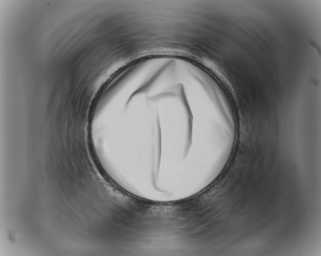 X0000102791237200809081042