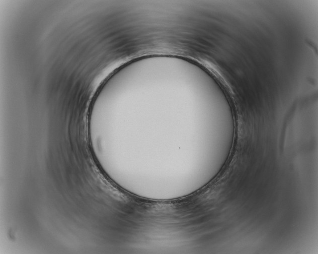 X0000102791238200809081042